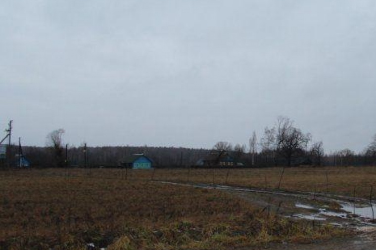 Земельный участок в деревне Ивановской 