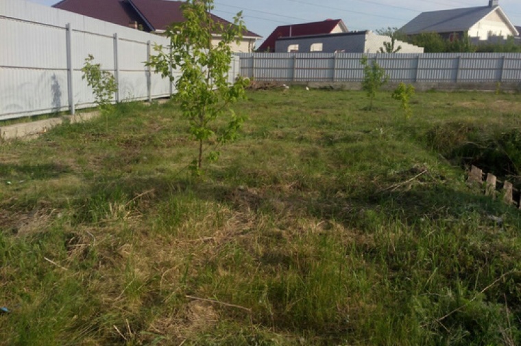 Земельный участок в Новоусманском районе
