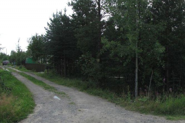 Земельный участок в Архангельской области