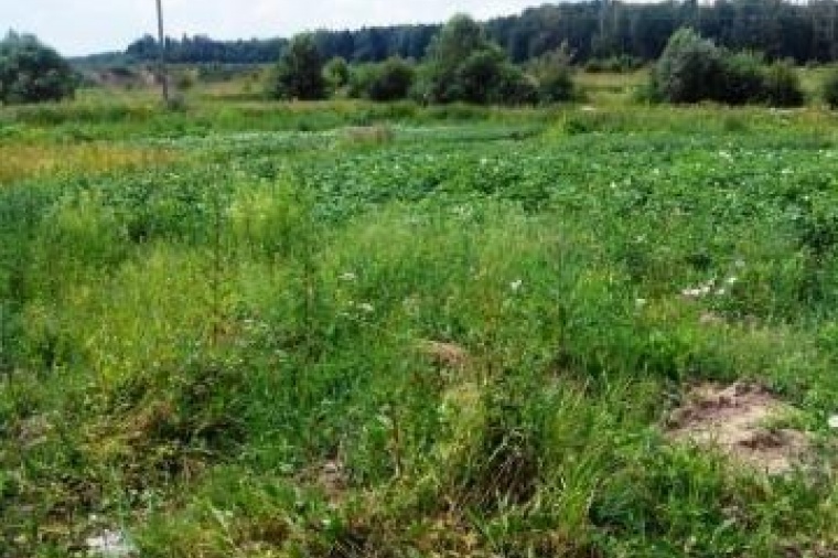 Земельный участок в Тверской области