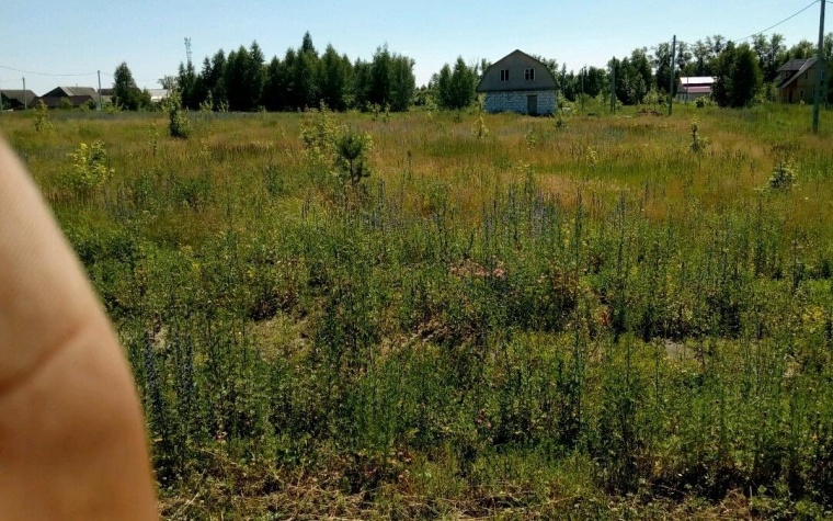 Земельный участок в поселок городского типа Беково