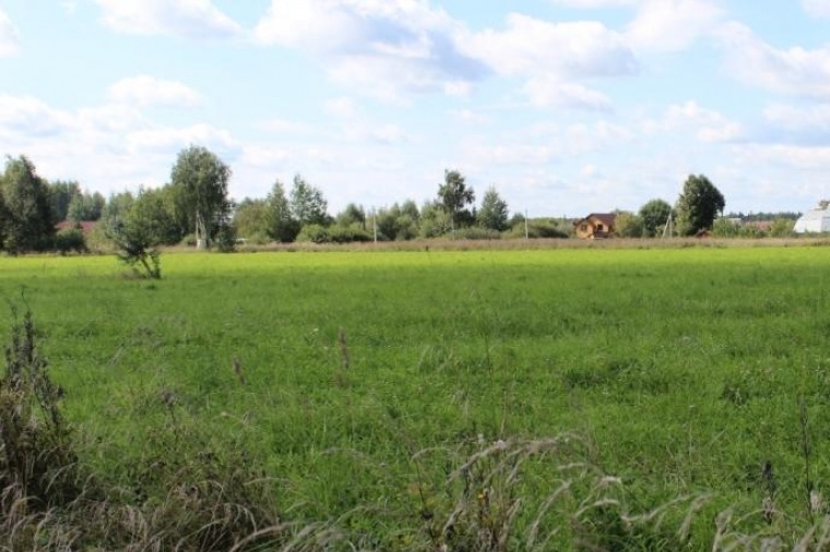 Земельный участок в деревне Тельвяково 
