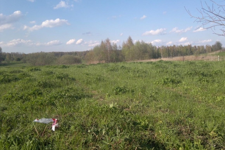 Земельный участок в городе Гвардейске