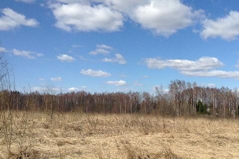 Земельный участок в деревне Новоивановском 