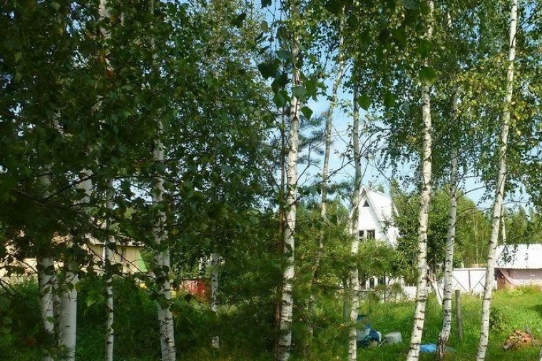 Дом в Иркутской области