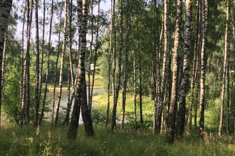Земельный участок в поселке Мичуринском 