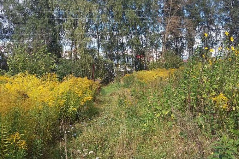 Земельный участок в поселке Путевке 