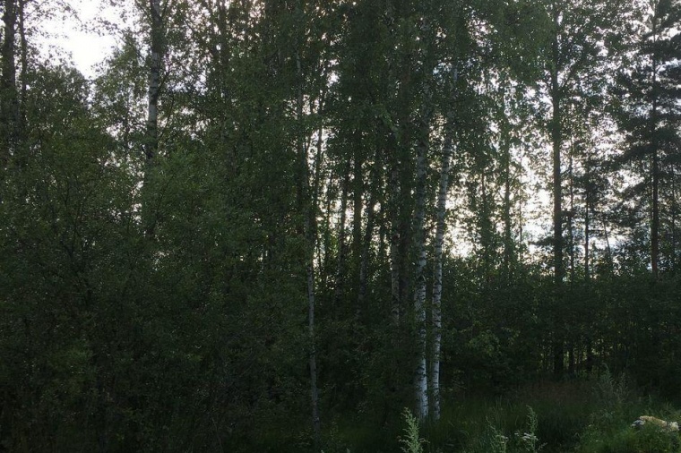 Земельный участок в Ленинградской области