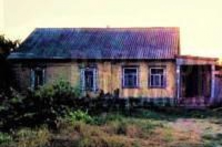 Дом в селе Бессоновке