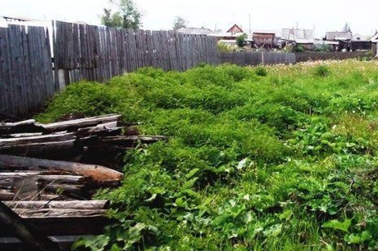 Земельный участок в Красноярском крае