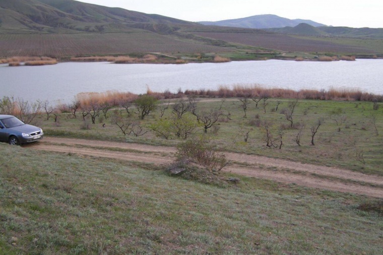 Земельный участок в деревне Добруне 