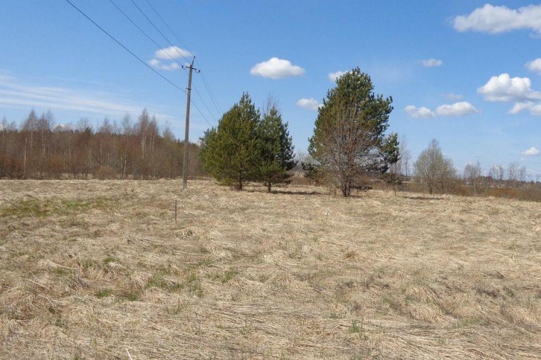 Земельный участок в поселке Соловьевке 