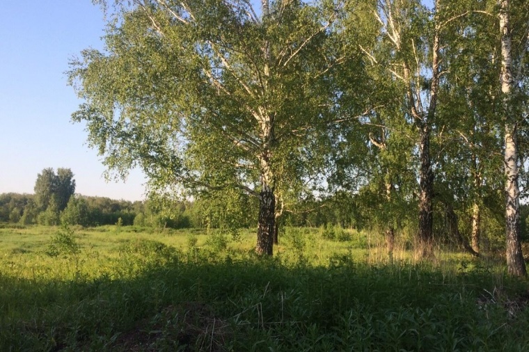 Земельный участок в городе  Кемерово