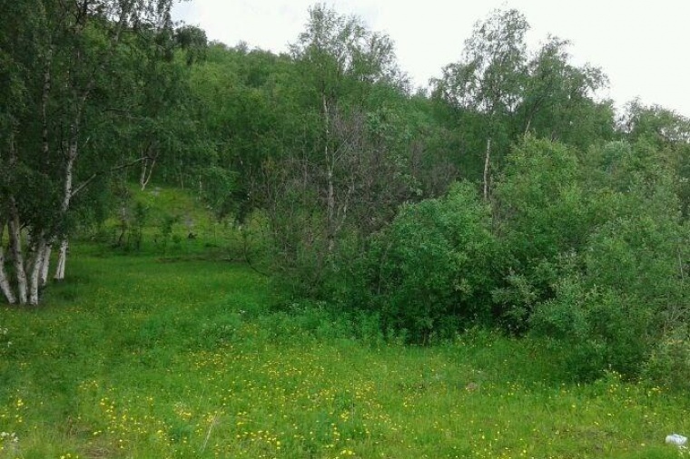 Земельный участок в городе  Мурманске