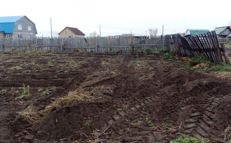 Земельный участок в селе Хомутове