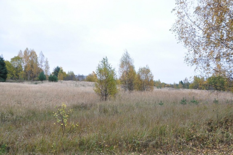 Земельный участок в городе  Пскове