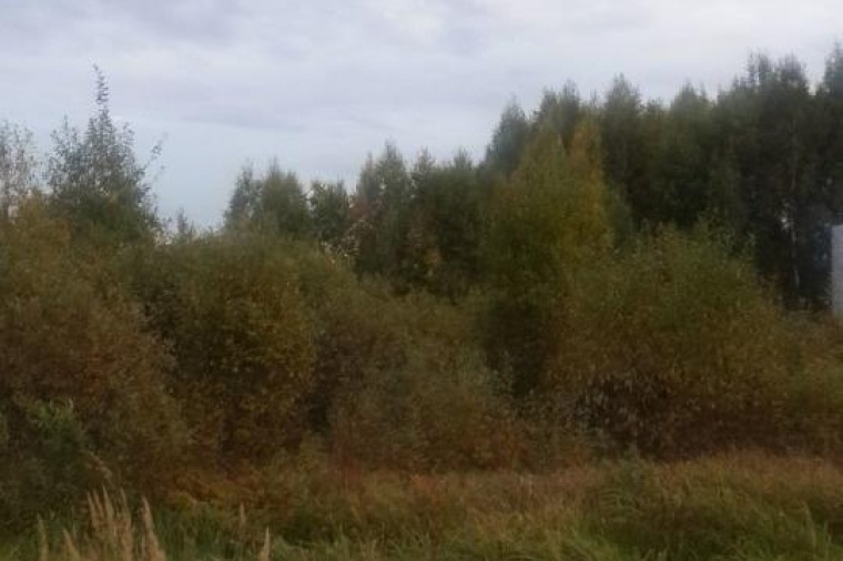 Земельный участок в городе Покрове