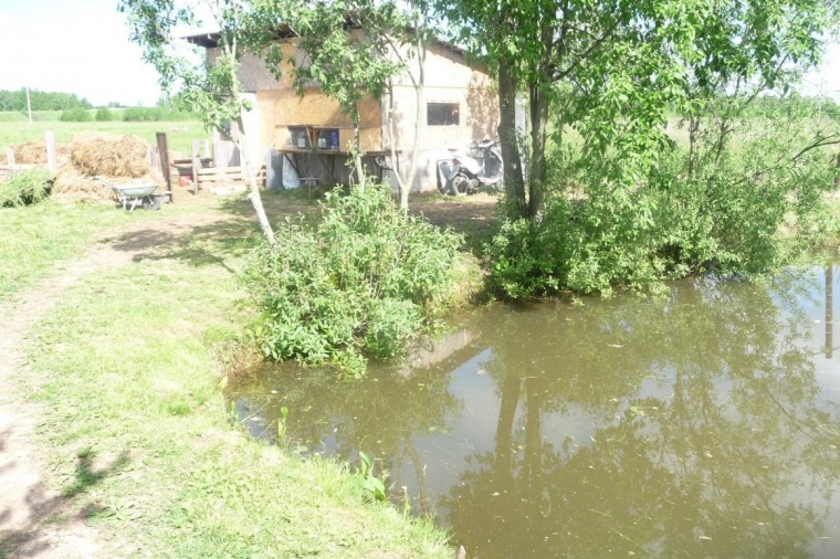 Земельный участок в Псковской области