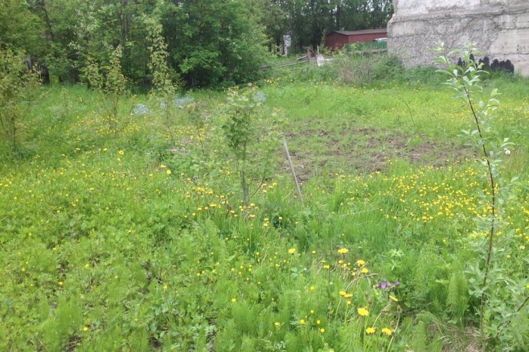 Земельный участок в городе Сыктывкаре