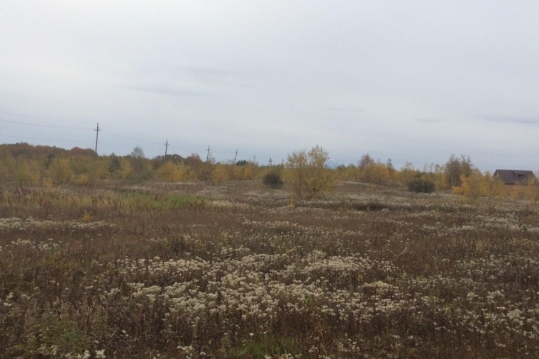 Земельный участок в Камчатском крае