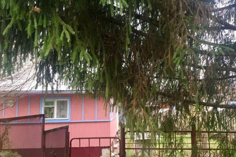 Дом в поселок городского типа Любань