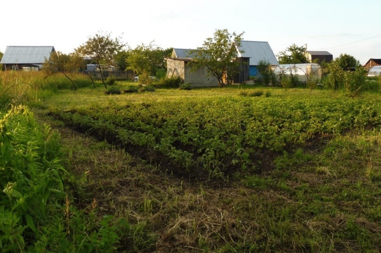 Земельный участок в городе Йошкаре-Оле