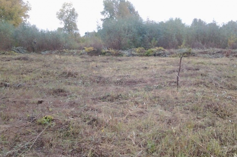 Земельный участок в городе Димитровграде