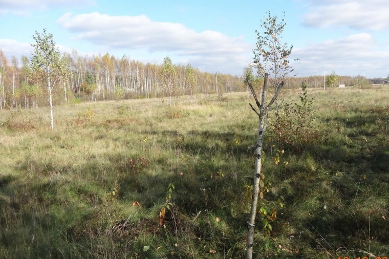 Земельный участок в Смоленской области