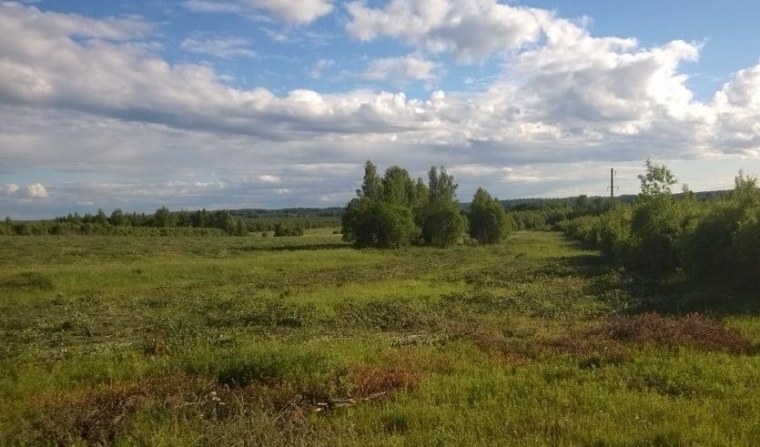 Земельный участок в поселке Петровском 