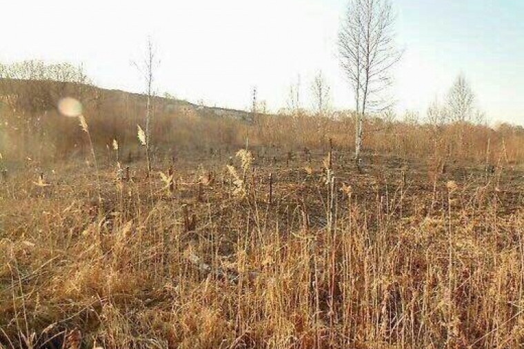 Земельный участок в Приморском крае