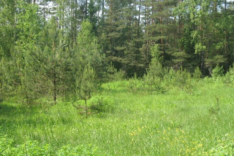 Земельный участок в город Великий Новгород