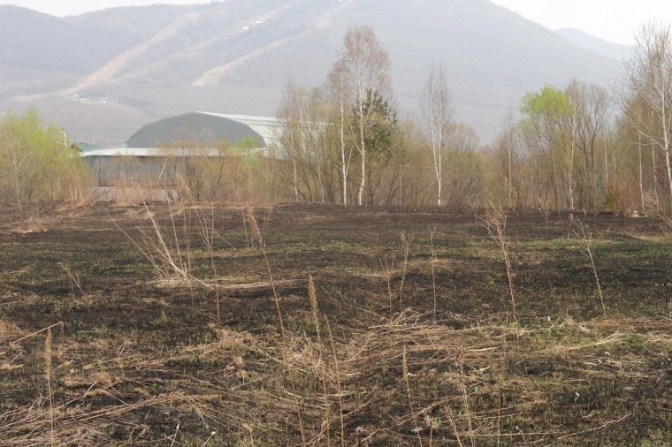 Земельный участок в городе  Арсеньеве