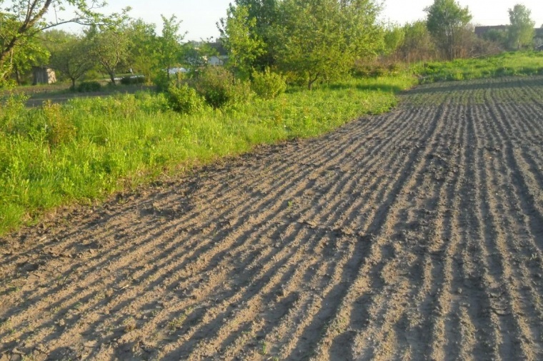 Земельный участок в Брянской области