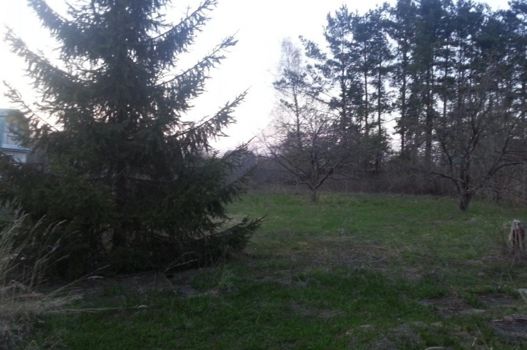 Земельный участок в Ульяновской области