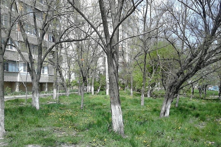 Земельный участок в Краснодарском крае