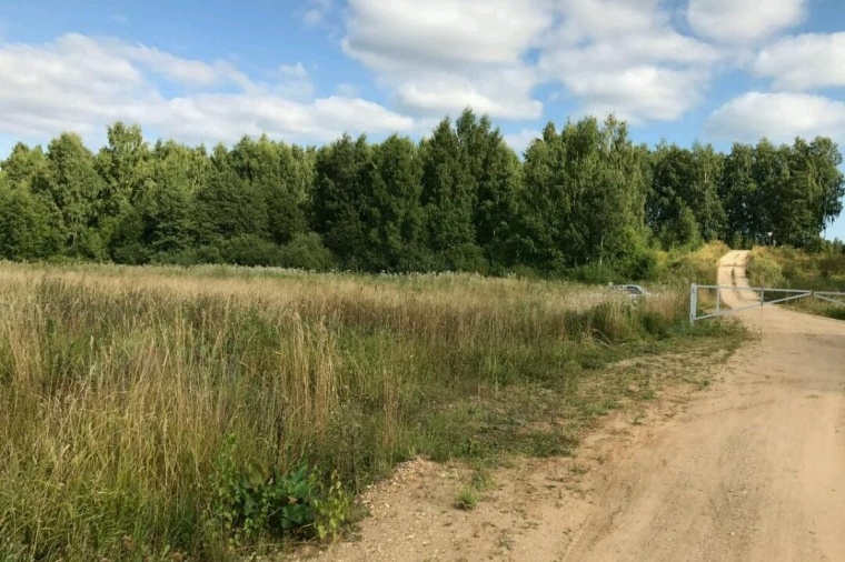 Земельный участок в поселке Некрасовском 