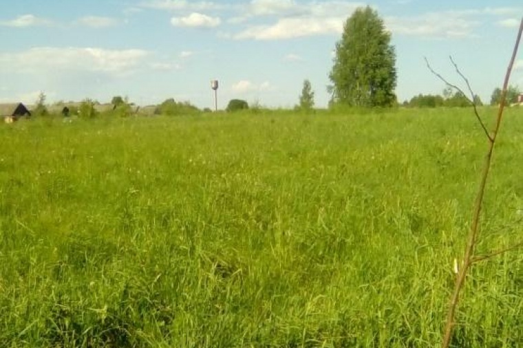 Земельный участок в городе Гавриловом-Яме