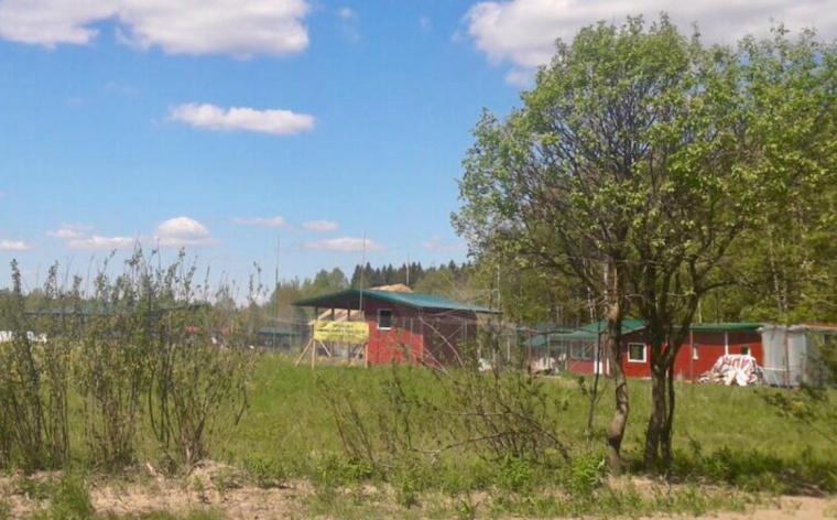 Земельный участок в поселке Кирпичном 