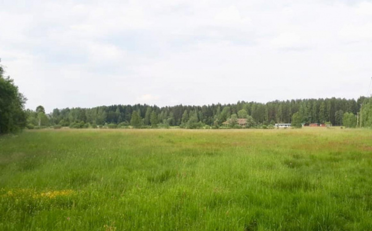 Земельный участок в поселке Кирпичном 