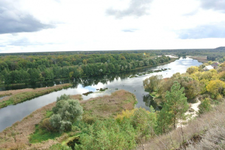 Земельный участок в Воронежской области