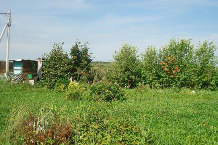 Земельный участок в Новосибирской области