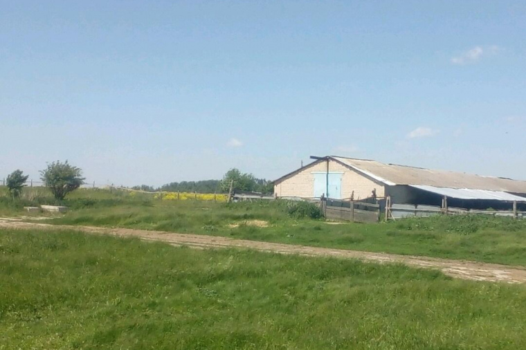 Земельный участок в поселке Арсеньево 