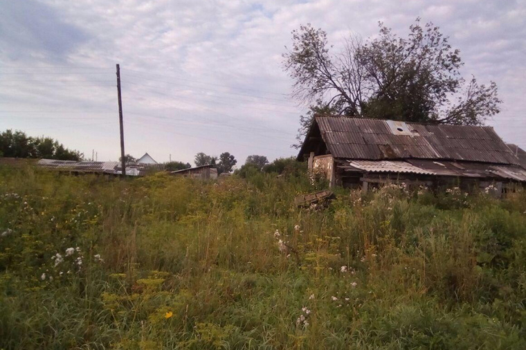 Земельный участок в Алтайском крае