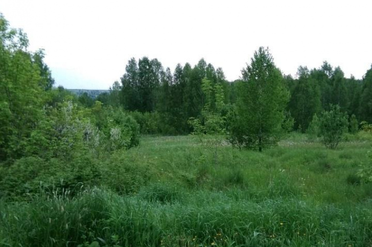 Земельный участок в Кемеровской области