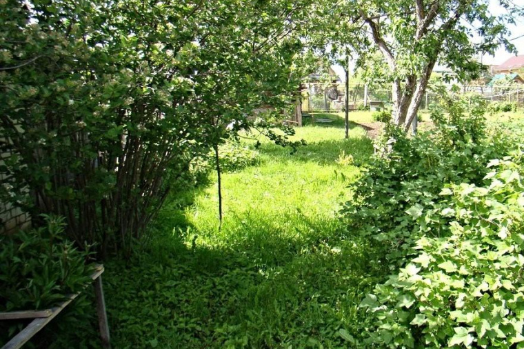 Земельный участок в городе Йошкаре-Оле