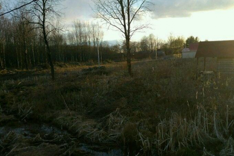 Земельный участок в Новгородской области