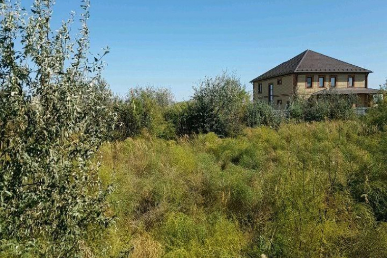 Земельный участок в селе Началово
