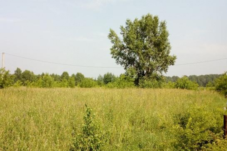 Земельный участок в городе  Новокузнецке