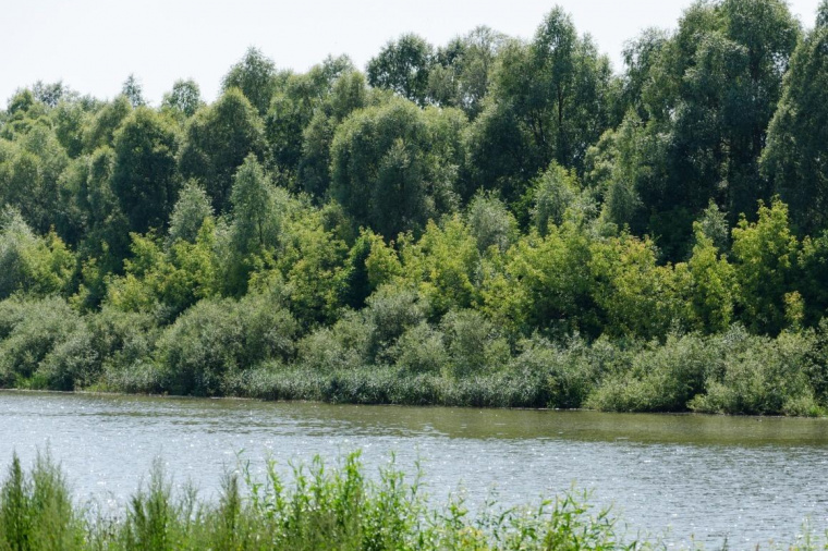 Земельный участок в республике Татарстан
