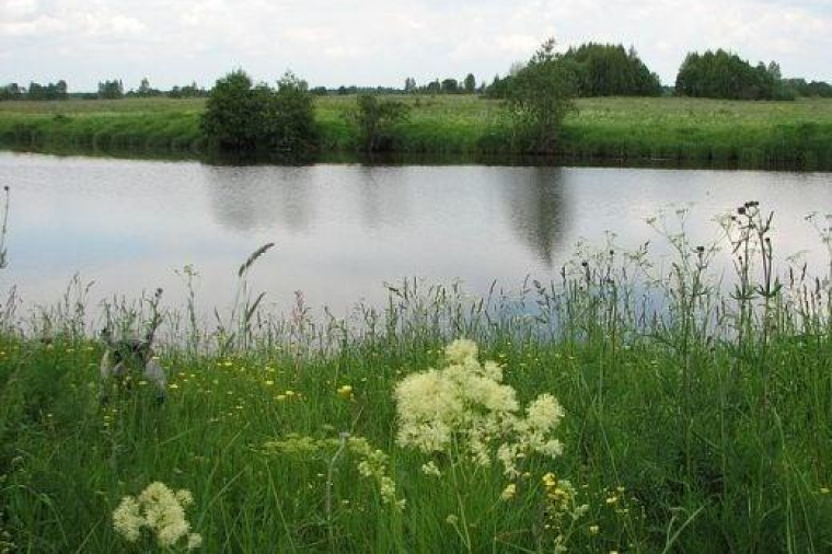 Земельный участок в Тверской области
